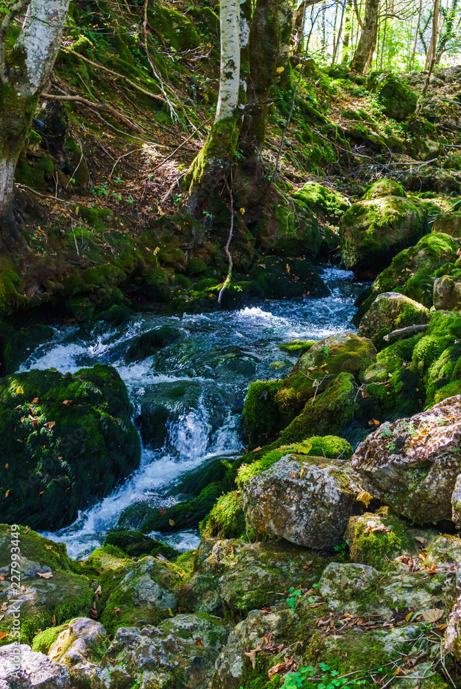 Moraca - the famous Montenegrin river, the largest water artery that feeds Lake Skadar. The canyon of this river has a length of 90 kilometers. Moraca - the famous Montenegrin river, the largest water artery that feeds Lake Skadar. The canyon of this river has a length of 90 kilometers.
