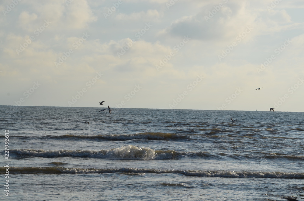 Fototapeta premium Ein Blick aufs Meer