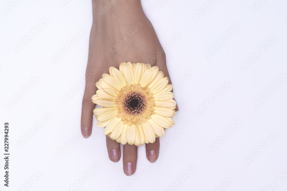 Fashion art hand woman in summer time and flowers on her hand with bright contrasting makeup. Creative beauty photo hand girls sitting at table on contrasting background with colored shadows. Skincare Fashion art hand woman in summer time and flowers on her hand with bright contrasting makeup. Creative beauty photo hand girls sitting at table on contrasting background with colored shadows. Skincare