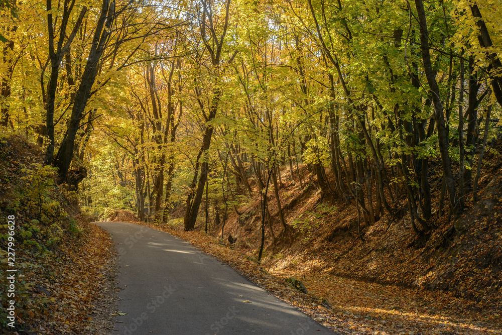 Autumn Autumn