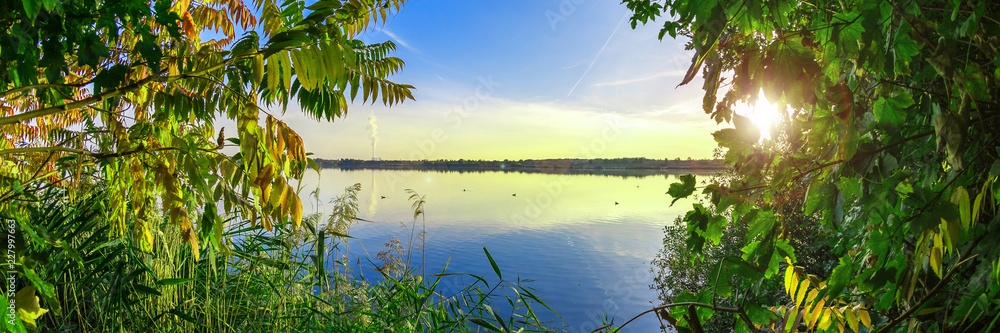 Fototapeta premium Grüne Blätter vor blauem See, Wunderschöner Natur Hintergrund