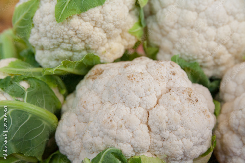 Group of cauliflowers with green leaves Group of cauliflowers with green leaves