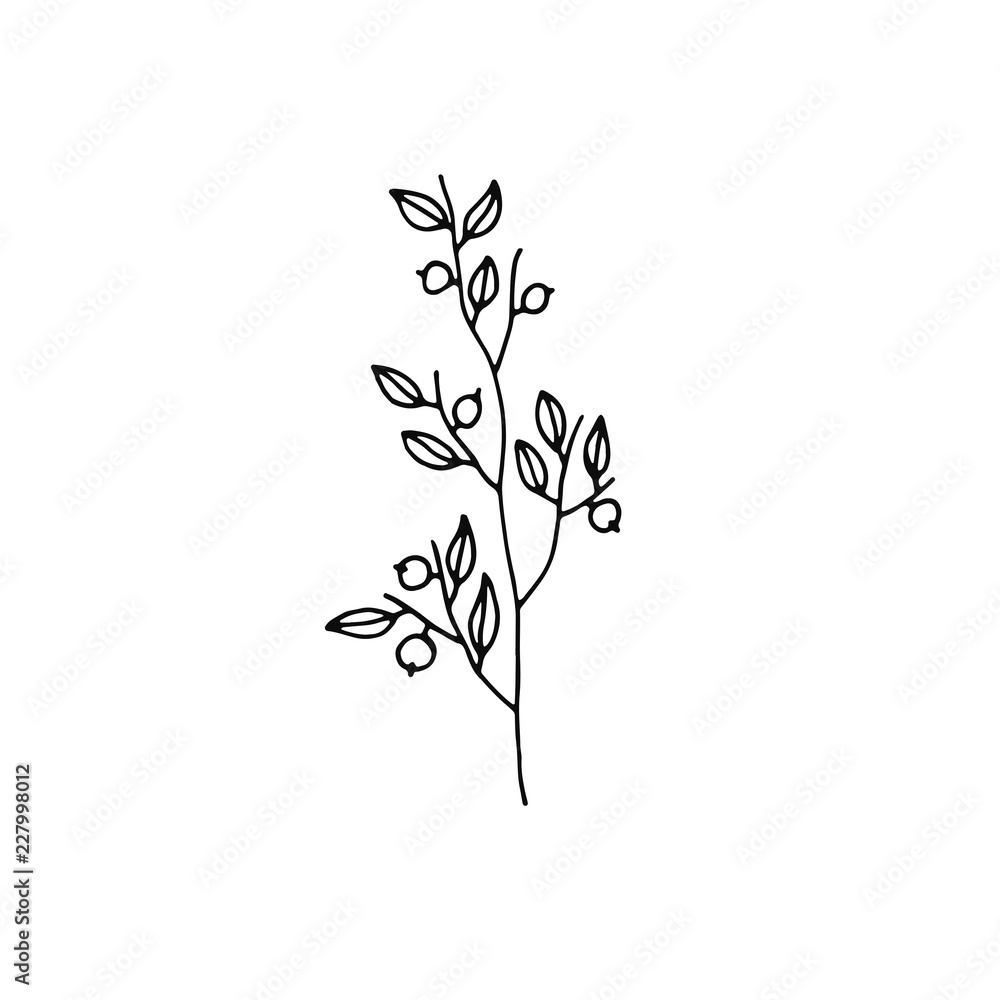 plant twig with berries icon. sketch isolated object