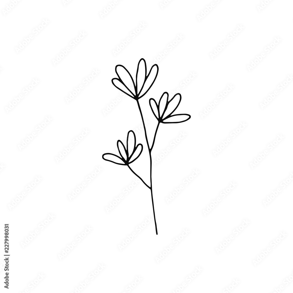 plant twig with flowers icon. sketch isolated object