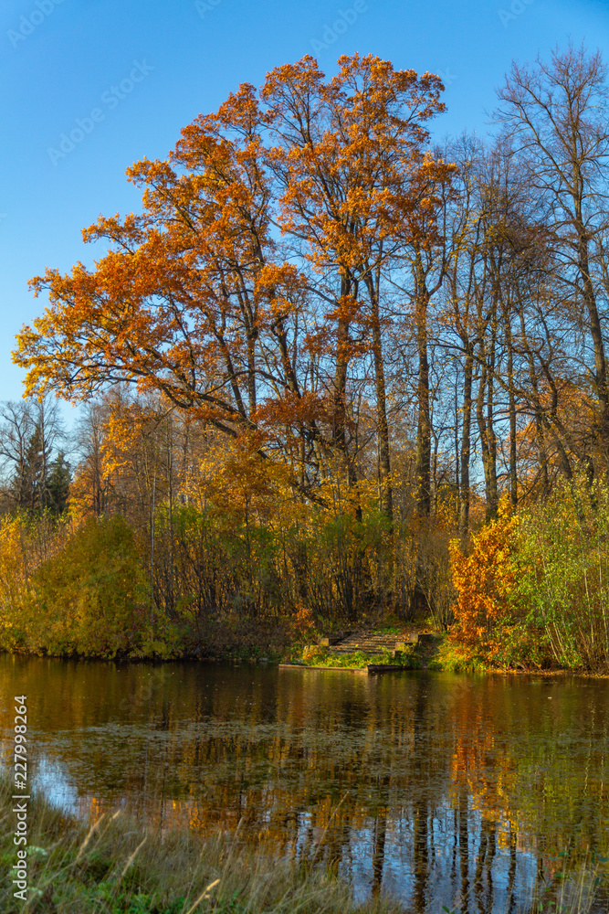 Autumn park. Pavlovsk, St. Petersburg, Russia