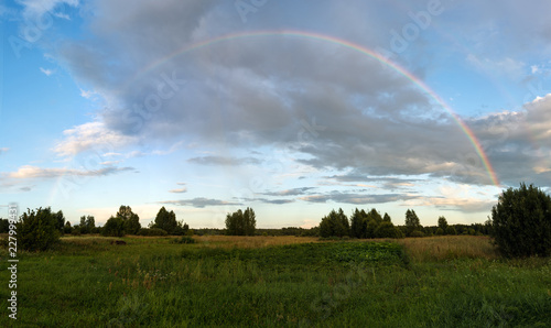 A huge rainbow over the fields with birches and pines in the vicinity of the village summer