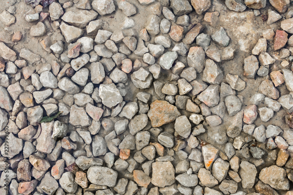 Close up wet stony soil in a fall Close up wet stony soil in a fall