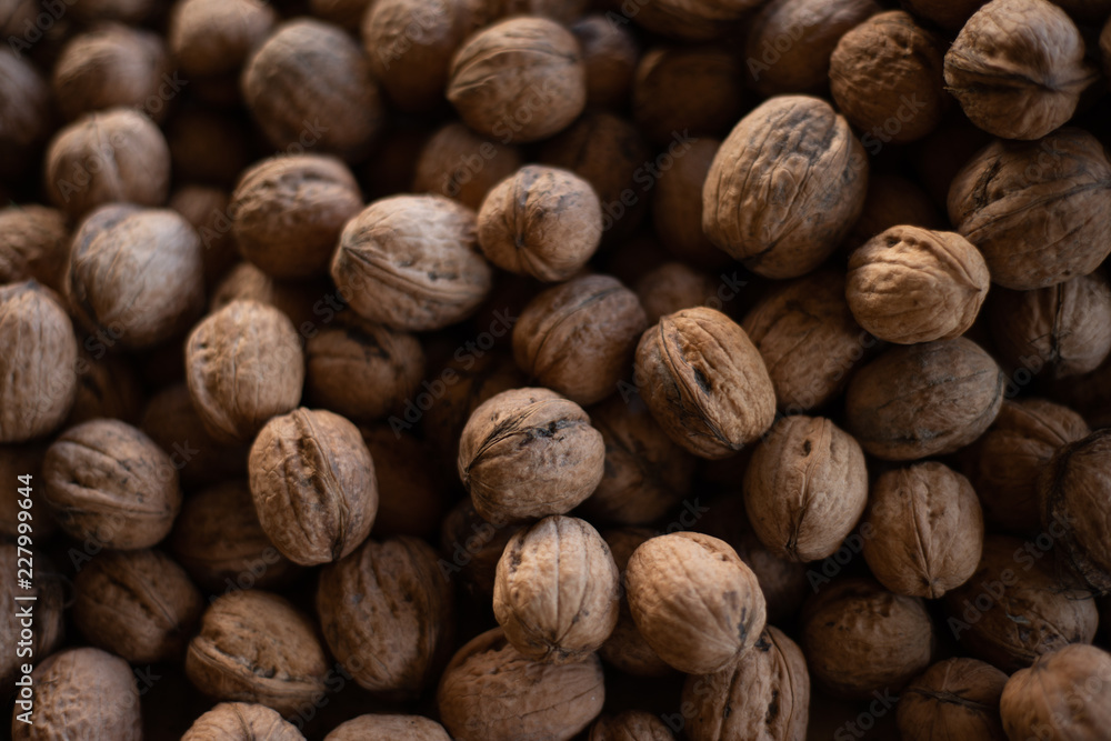 walnuts on the lawn walnuts on the lawn