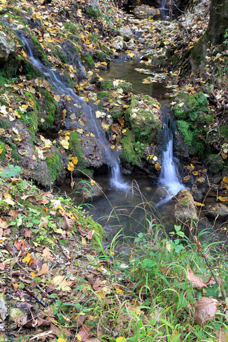 Ручей в осеннем лесу Экопарка Воденицы (Болгария) 