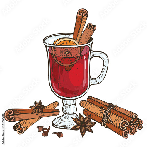 Glass of Mulled wine and spices cinnamon, cloves, badyan, orange. Hand-drawn vector illustration.