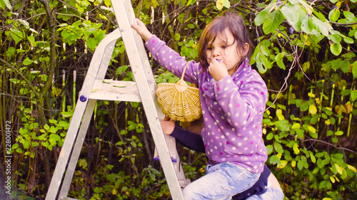 Autumn garden. Little girl climbing up a ladder © Chudakov