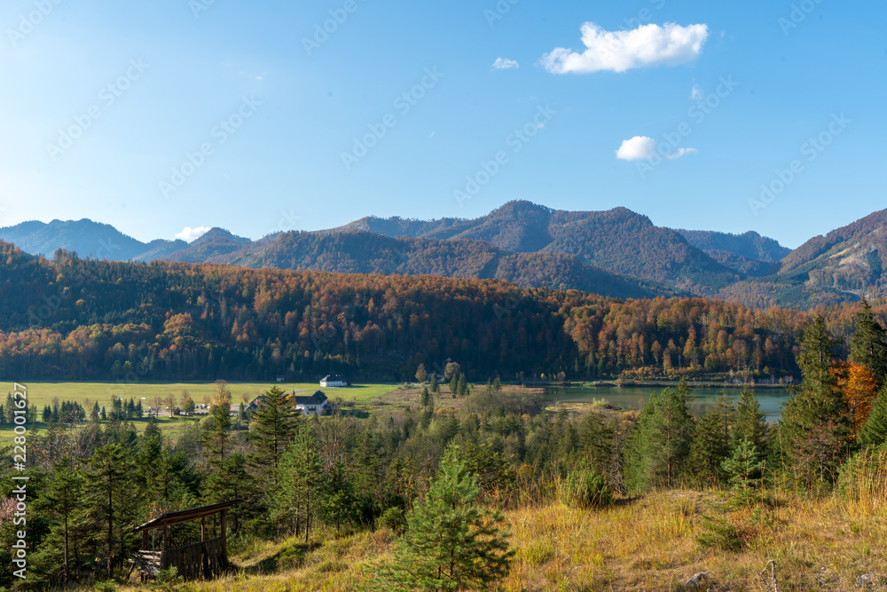 Almsee bei Sonnenuntergang mit bunten Laubbäumen und Herbstblättern, an einem wunderschönen Herbsttag