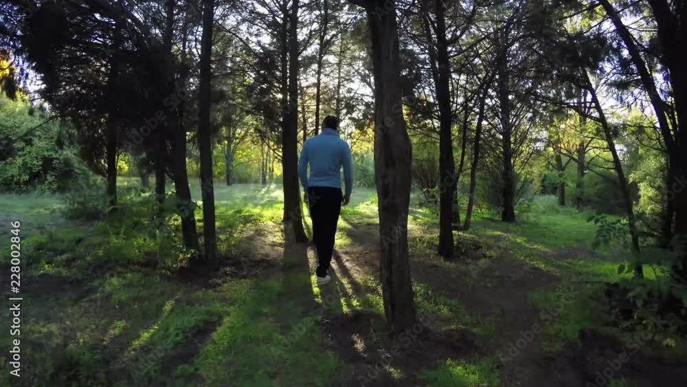 Man tourist walking in the fall forest on sunny autumn day, 4K Man tourist walking in the fall forest on sunny autumn day, 4K