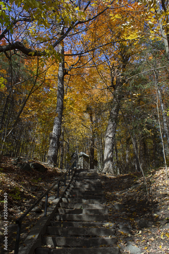 La chapelle en automne