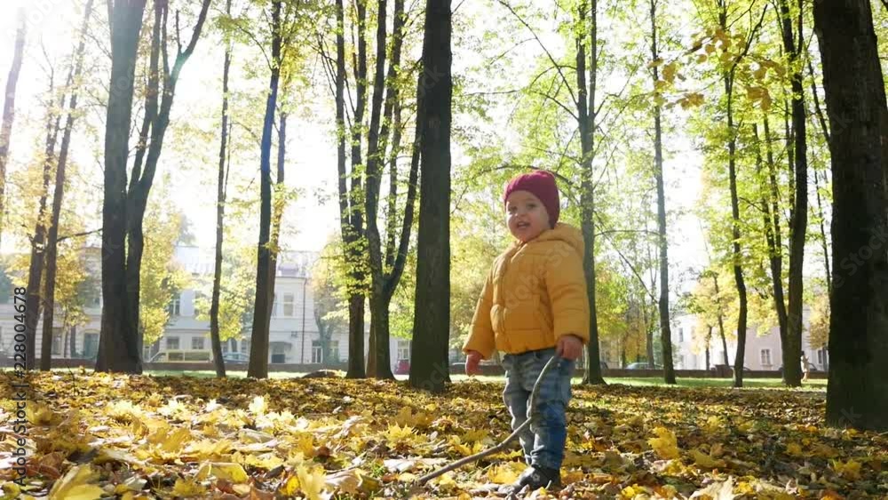 happy little boy playing in Park in autumn in orange leaves happy little boy playing in Park in autumn in orange leaves
