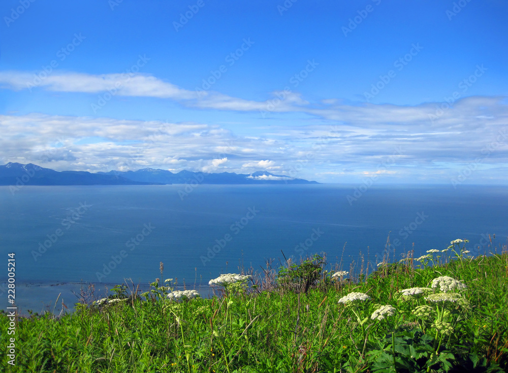 Alaskan Landscape and Wildflowers