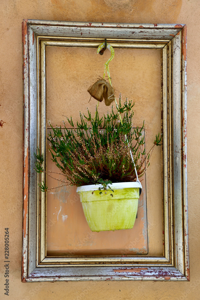Flower in a pot hung on a wall in a frame from an old picture. - obrazy, fototapety, plakaty 