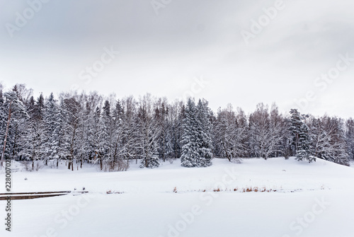Deciduous forest and forest river on a cold winter day