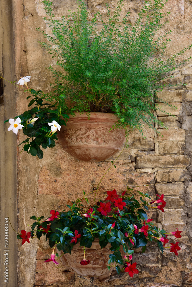 Floral streets of Spello in Umbria, Italy. - obrazy, fototapety, plakaty 