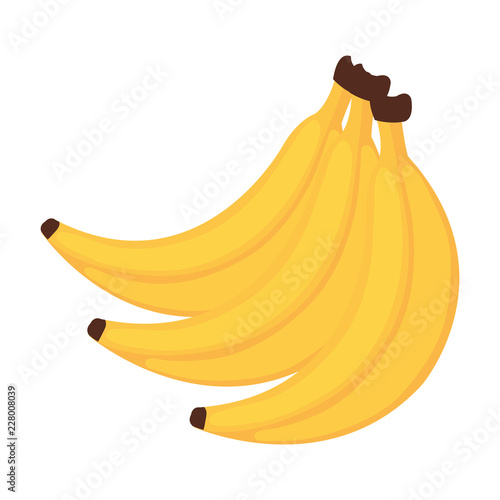 banana fresh fruit icon