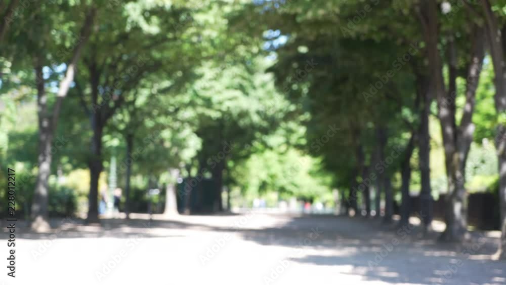 Sunny day at a luscious green park in Europe Sunny day at a luscious green park in Europe