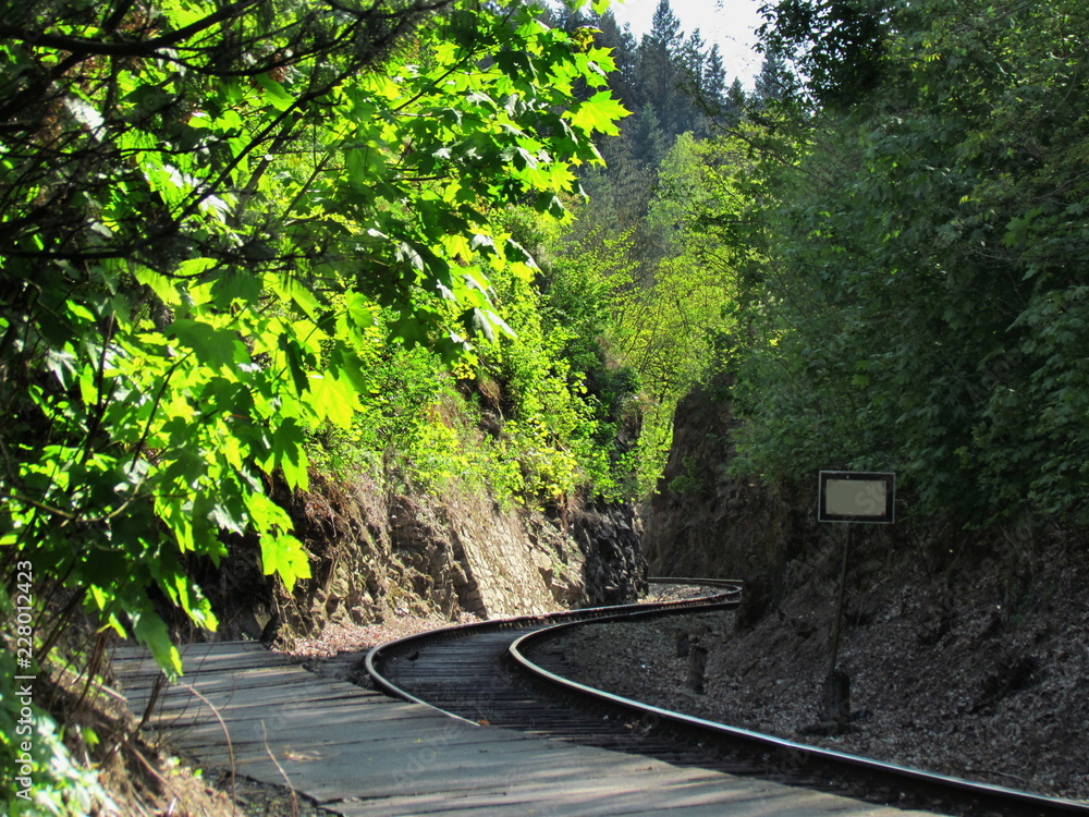 Fototapeta premium old railway tracks in nature, romantic nostalgic traveling by train