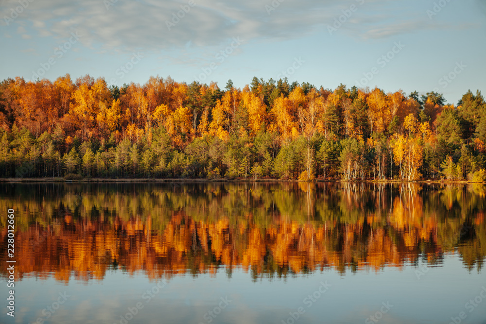 Obraz premium Reflection of trees in water at golden sunset.