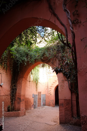Archways covered with ivy leaves in medina of Marrakech  Morocco. Narrow street with pink walls in old town.