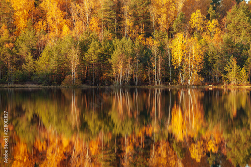 Reflection of trees in water at golden sunset.