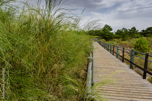 Public Beach access on Adao e Eva Beach on Castro Marim, Algarve Portugal. photo