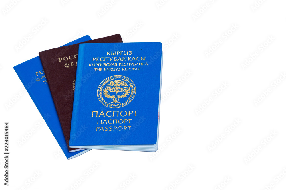 Russian passport among Kyrgyz passports. isolate Russian passport among Kyrgyz passports. isolate