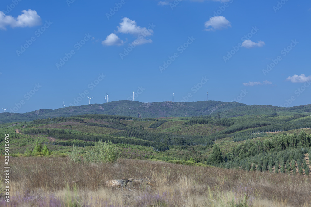 Eco Theme, landscape, wind turbines on top of mountains