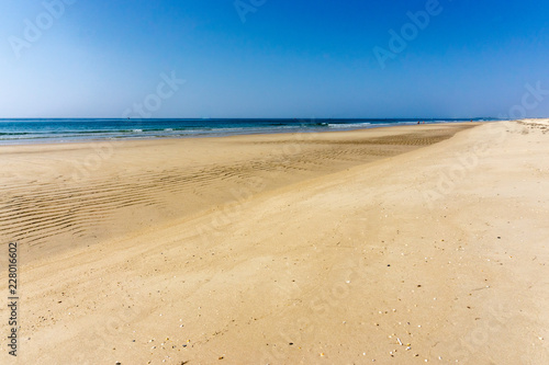 Fotografi Deserted beach, in Algarve, Portugal.