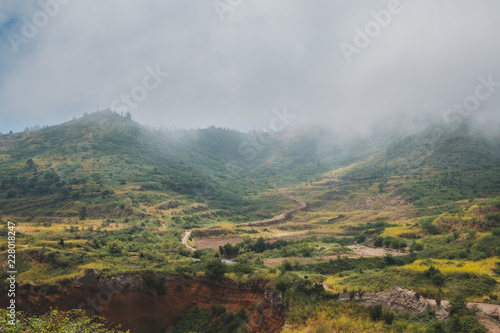 beautiful green hill landscape with terraced fields cloudy weather  