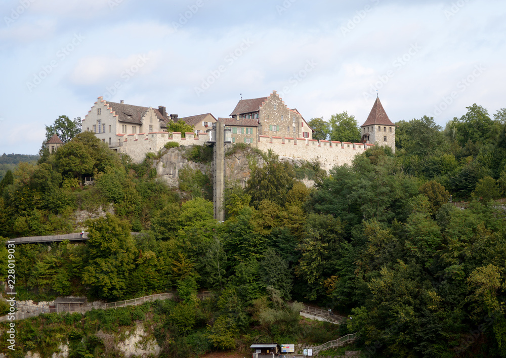 Chateau de Laufen