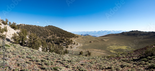 Panorama of Eastern Sierra Mountains from Ancient Bristlcone Pine Forest, Schulman Grove, near Bishop and Big Pine California.