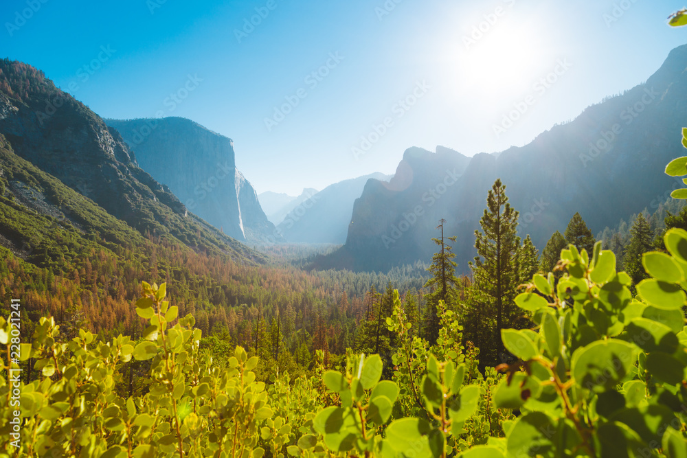Yosemite National Park at sunrise, California, USA