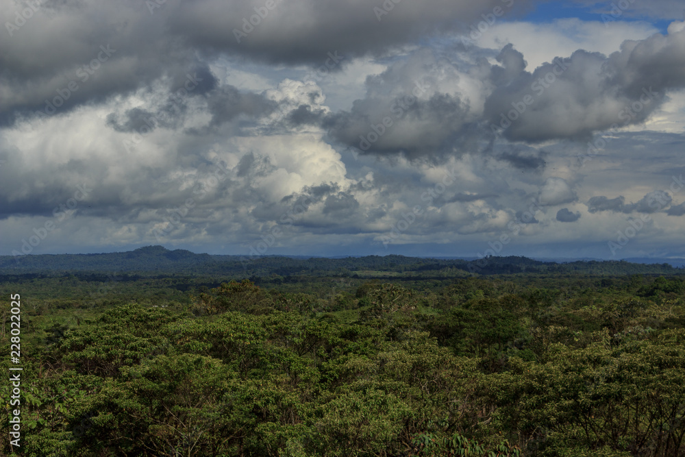 Panoramic view over the amazon valley in ecuador
