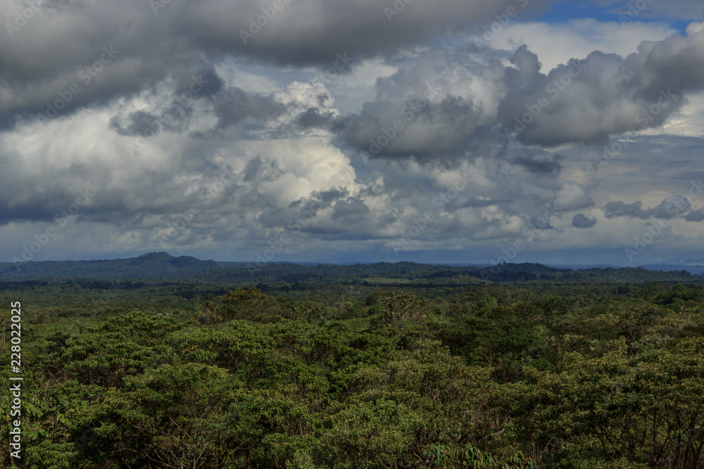Panoramic view over the amazon valley in ecuador Panoramic view over the amazon valley in ecuador
