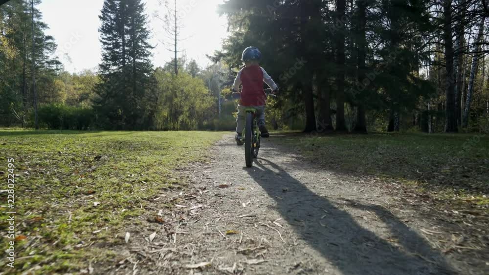 Little boy riding a bicycle in autumn park on sunny day. back view. Little boy riding a bicycle in autumn park on sunny day. back view.