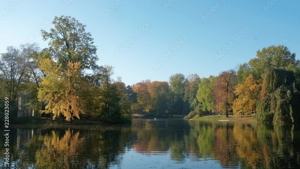 Calm and relaxing autumn scenery, pond in city park at fall season, lake reflecting forest, leaves falling slowly from the golden trees Calm and relaxing autumn scenery, pond in city park at fall season, lake reflecting forest, leaves falling slowly from the golden trees