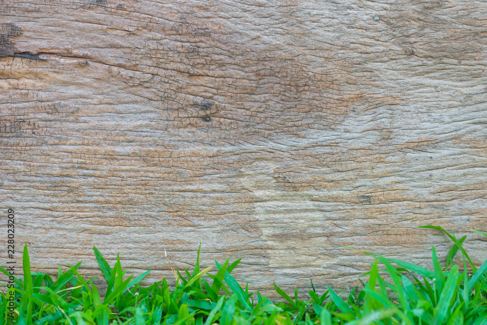 Wooden table background on green grass, empty space for text. Wooden table background on green grass, empty space for text.