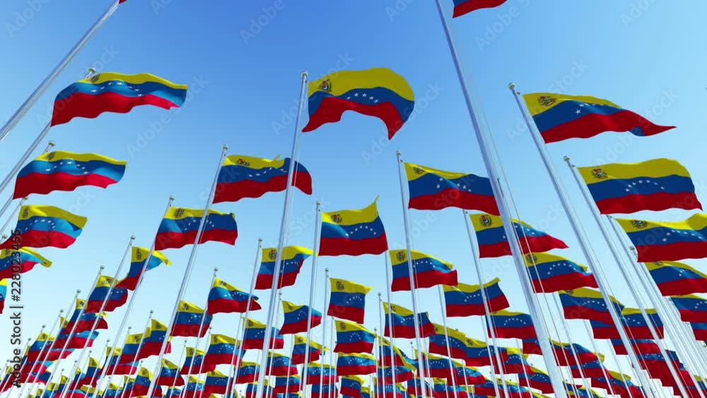 Many flags of Venezuela fluttering in the wind on flag poles against blue sky. Three dimensional rendering animation. Many flags of Venezuela fluttering in the wind on flag poles against blue sky. Three dimensional rendering animation.
