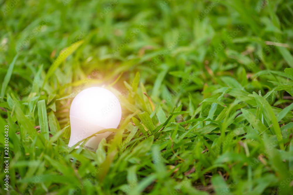 light bulb on green grass background, save energy ans ecology concept. light bulb on green grass background, save energy ans ecology concept.