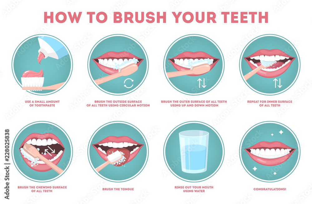 How to brush your teeth stepbystep instruction. Stock Vector Adobe
