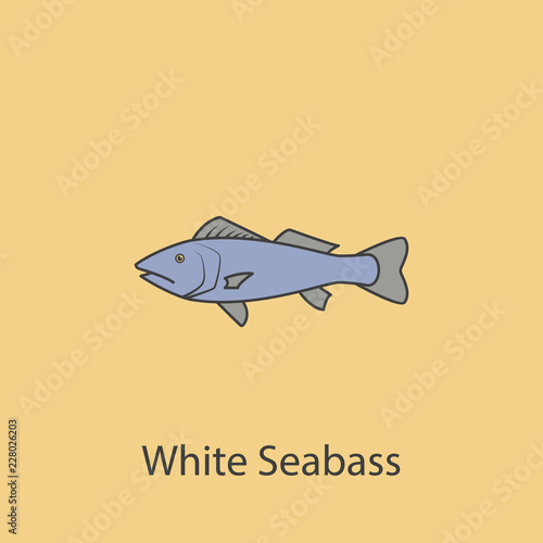 white seabass 2 colored line icon. Simple purple and gray element illustration. white seabass concept outline symbol design from fish set