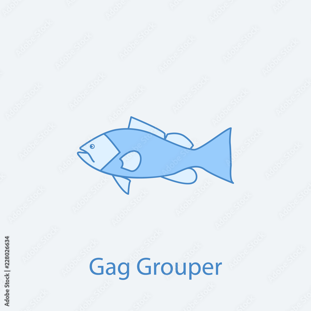 gag grouper 2 colored line icon. Simple light and dark blue element illustration. gag grouper concept outline symbol design from fish set gag grouper 2 colored line icon. Simple light and dark blue element illustration. gag grouper concept outline symbol design from fish set