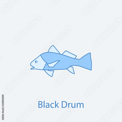 black drum 2 colored line icon. Simple light and dark blue element illustration. black drum concept outline symbol design from fish set