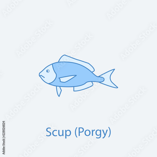 scup 2 colored line icon. Simple light and dark blue element illustration. scup concept outline symbol design from fish set
