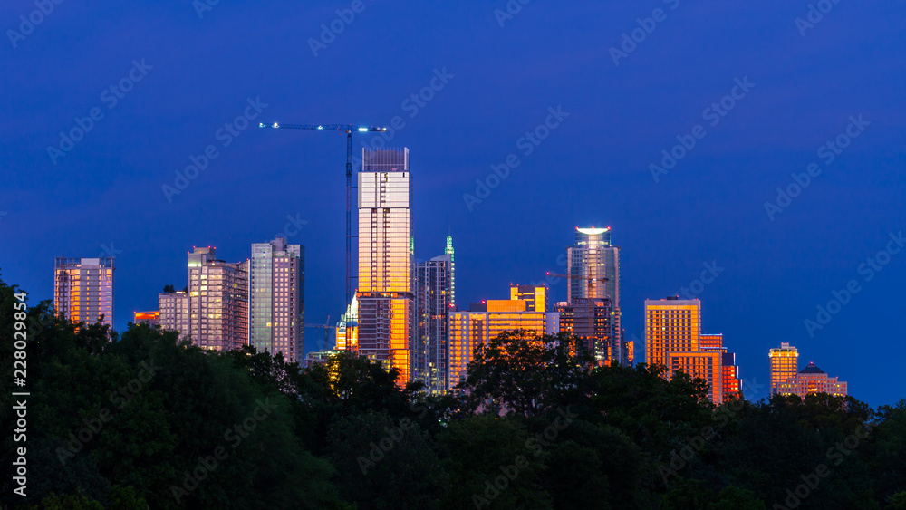 Austin, Texas Downtown Skyline at Night seen from behind trees - obrazy, fototapety, plakaty 